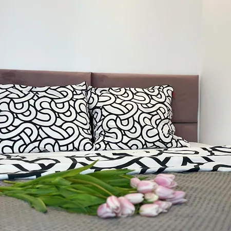 Parkcity Centrum Zabrska Appartement *