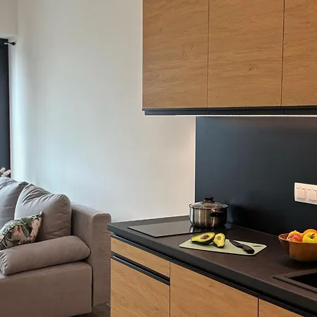 Parkcity Centrum Zabrska Apartmán