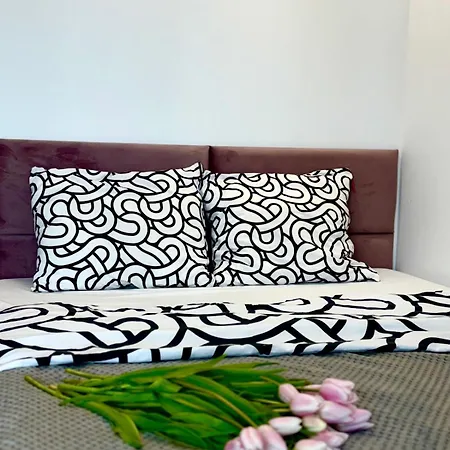 Parkcity Centrum Zabrska Apartmán Katovice