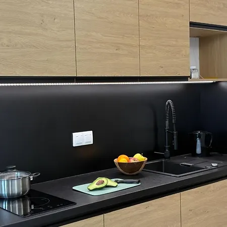 아파트 Parkcity Centrum Zabrska 카토비체