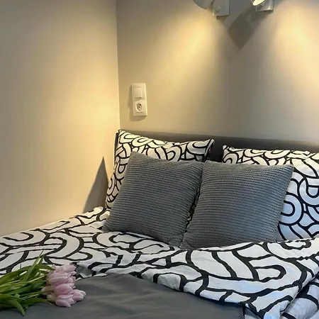 Apartmán Parkcity Centrum Zabrska Katovice