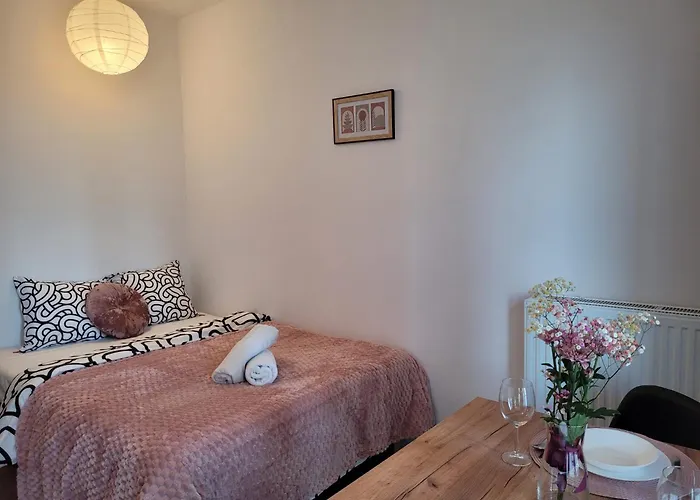 Parkcity Centrum Zabrska Apartment Katowice