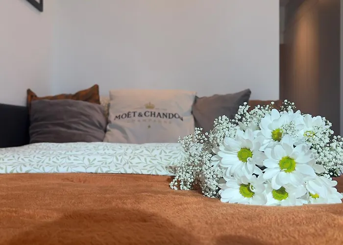 Parkcity Centrum Zabrska Apartment *